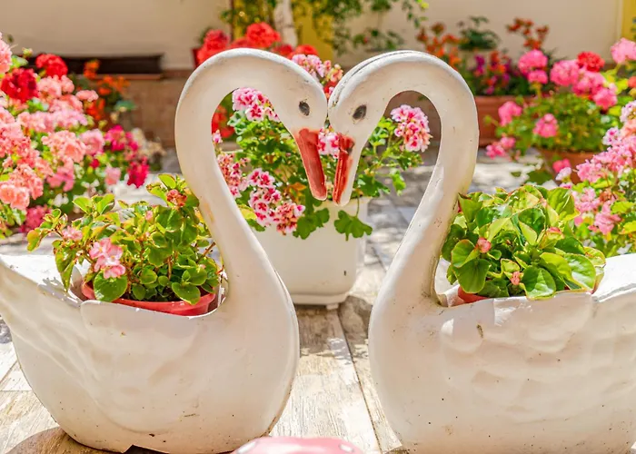 Boutique 'sofia' Guest house