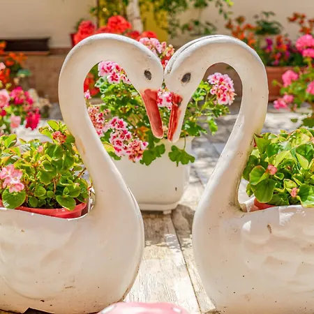 Boutique 'sofia' Πανσιόν